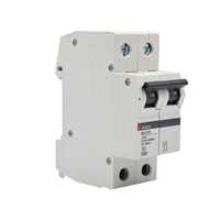 Disjoncteur BH-D6 2P 10A TYPE C N Courbe C. 6kA