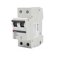 Disjoncteur BH-D6 2P 25A TYPE C N Courbe C. 6kA